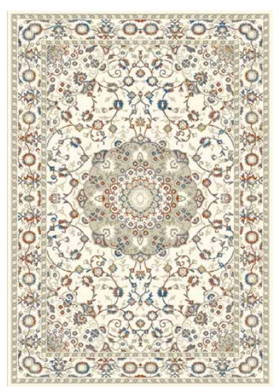 2889A Rugs 5x7